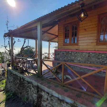Dostel: Backpacker Hostel Kodaikanal Kültér fotó