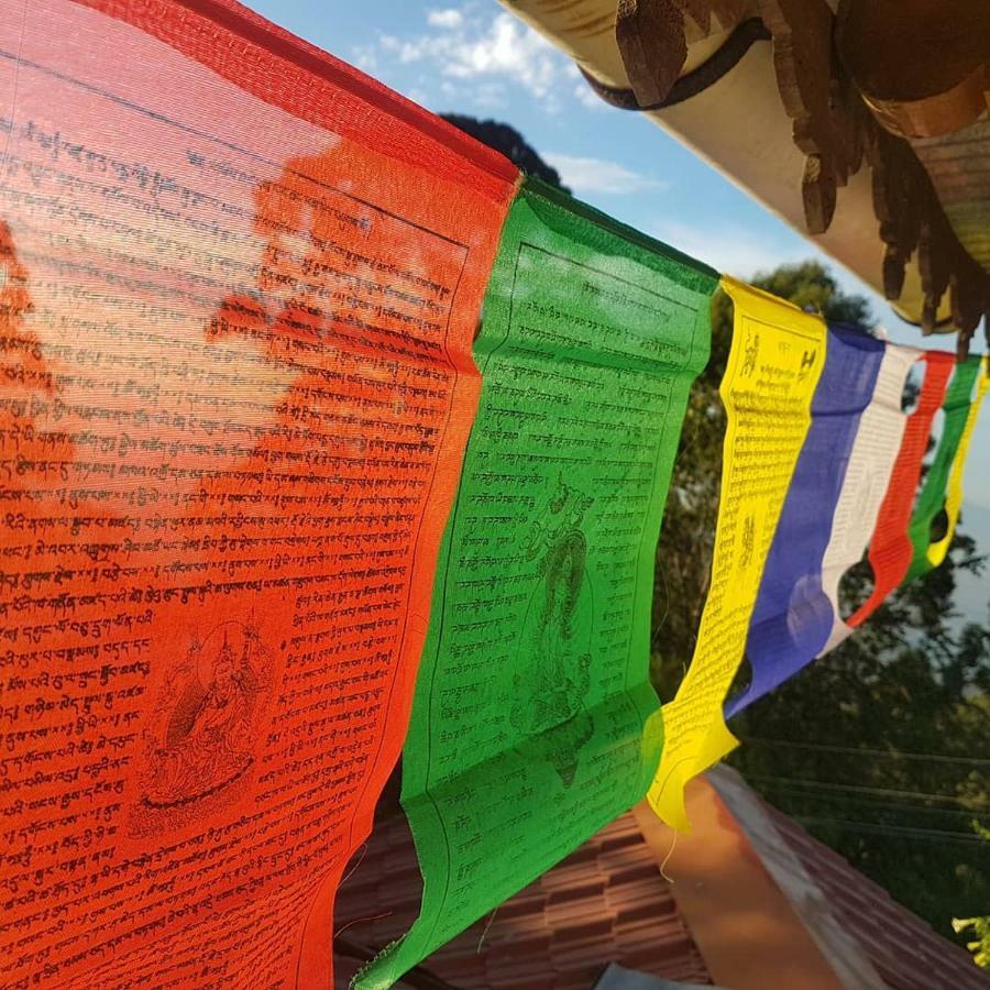 Dostel: Backpacker Hostel Kodaikanal Kültér fotó